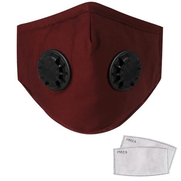 10-Pieces: Double Breathing Valve PM 2.5 Mask Respirator DailySale