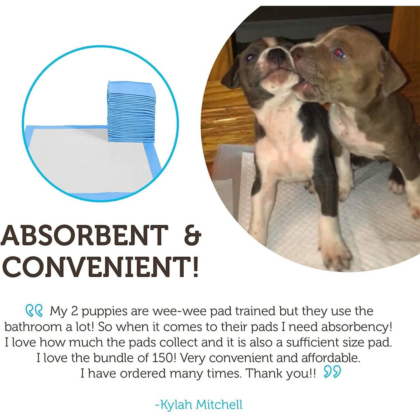 150-Pack: Puppy Pads Dog Pee Pad for Potty Training Dogs & Cats DailySale