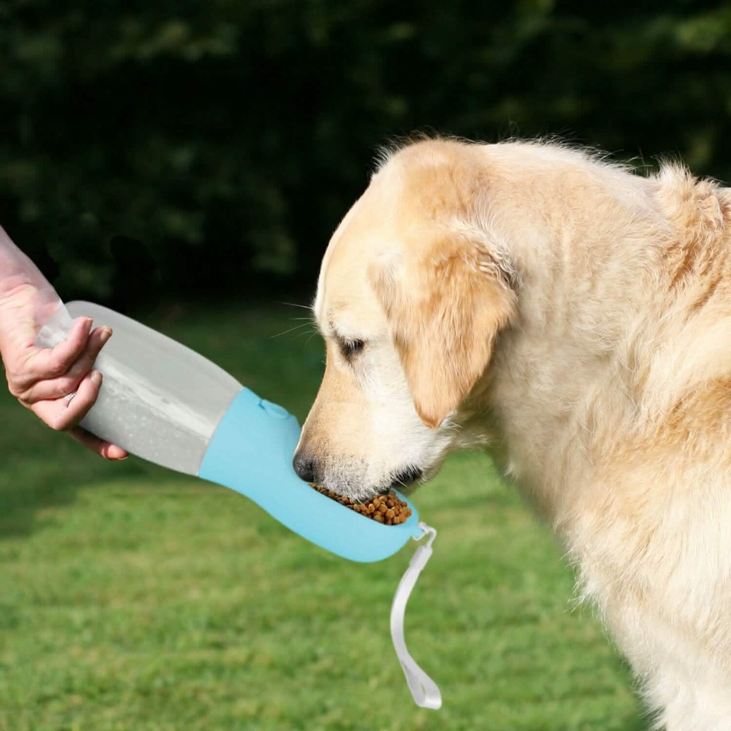 18.6 oz Portable Dog Water Dispenser with Detachable Food Container DailySale