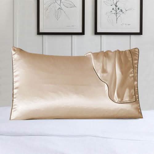 2-Pack: 100% Silk Pillow Cover with Trim DailySale