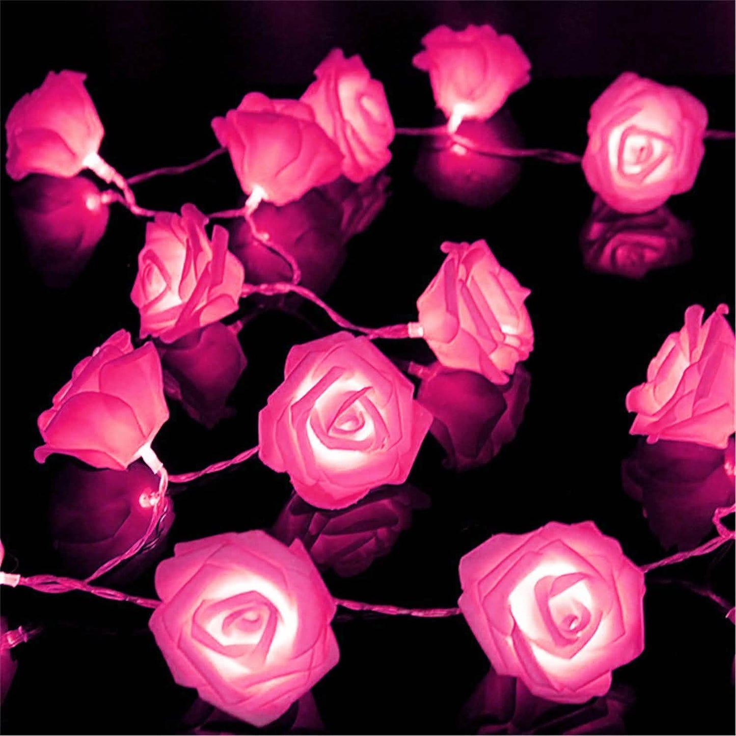 2-Pack: 40 LEDs Rose Flower String Lights DailySale