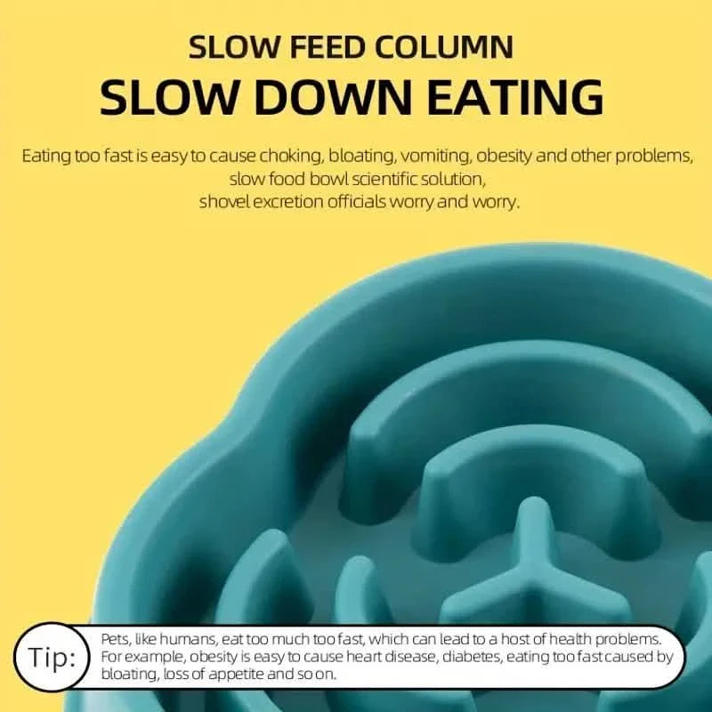 2-Pack: Cat and Dog Slow Food Bowl Slow Food Bowl DailySale