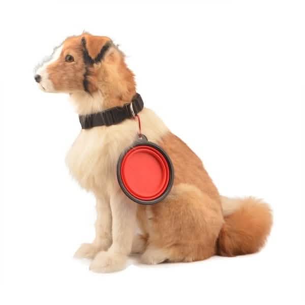 2-Pack: Collapsible Food Water Travel Bowl DailySale