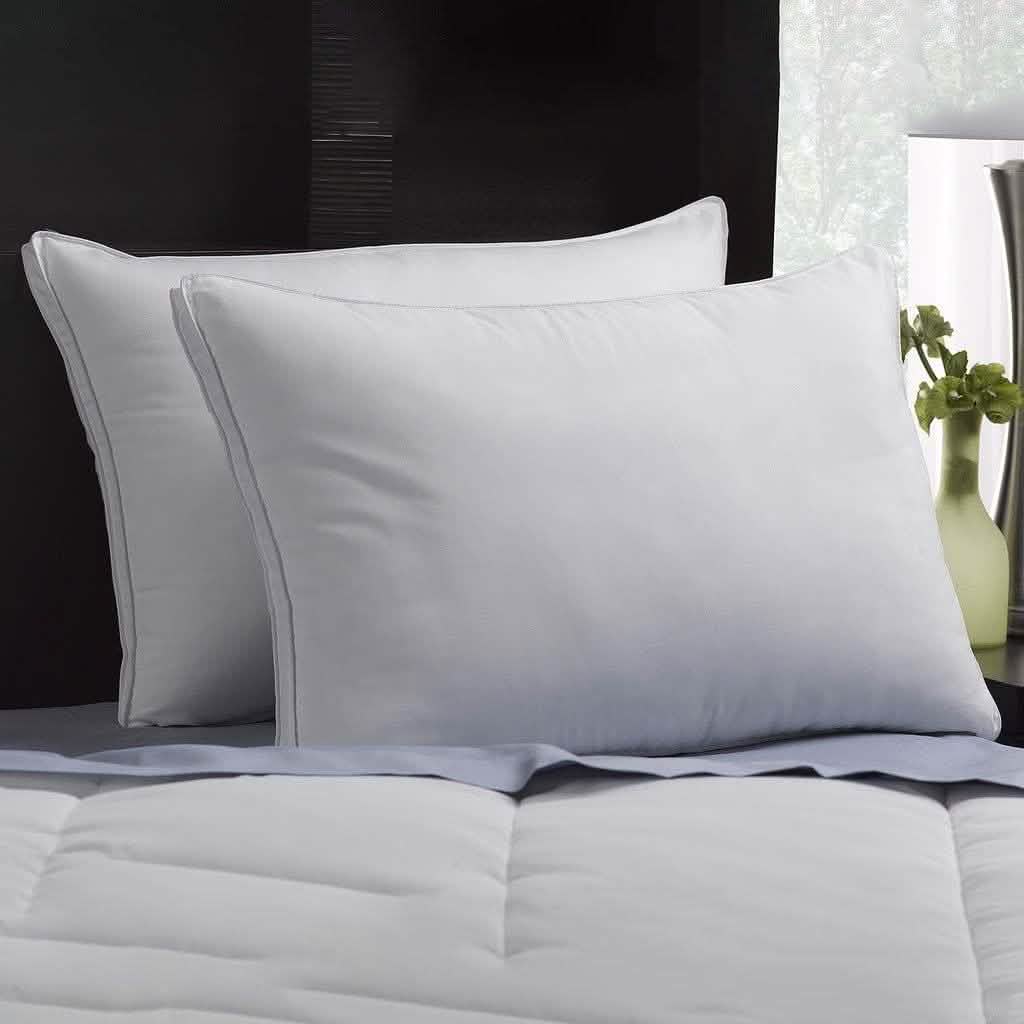 2-Pack: DownSupply Firm Gusseted Gel Fiber Pillows DailySale