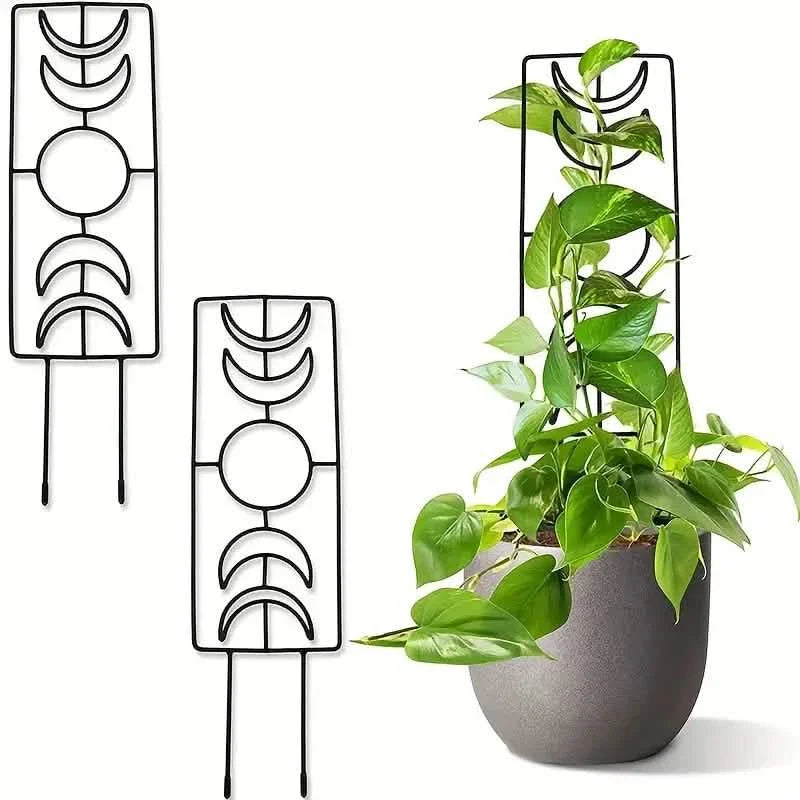 2-Pack: Metal Plant Trellis for Climbing Plants Indoor DailySale