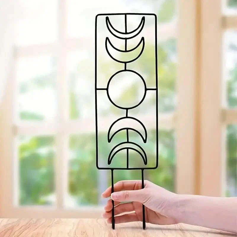 2-Pack: Metal Plant Trellis for Climbing Plants Indoor DailySale