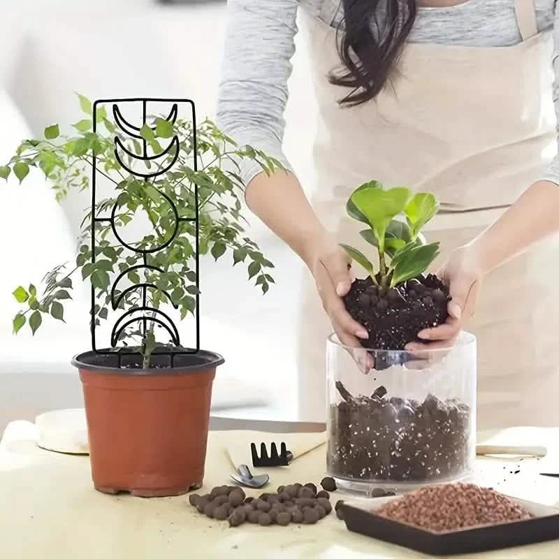 2-Pack: Metal Plant Trellis for Climbing Plants Indoor DailySale