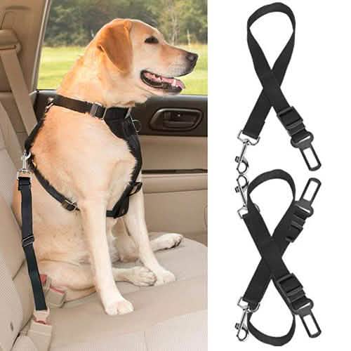 2-Pack: Multipurpose Pet Safety DailySale