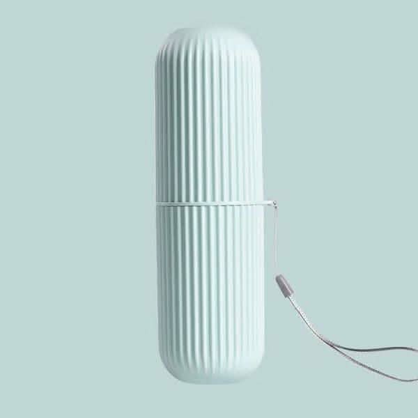 2-Pack: Portable Dental Storage Box DailySale