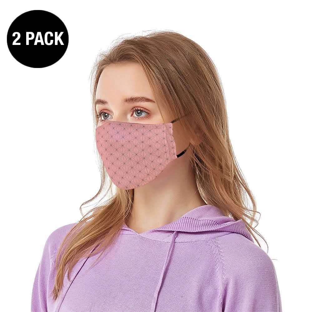 2-Pack: Reusable Ear Loop Face Mask DailySale