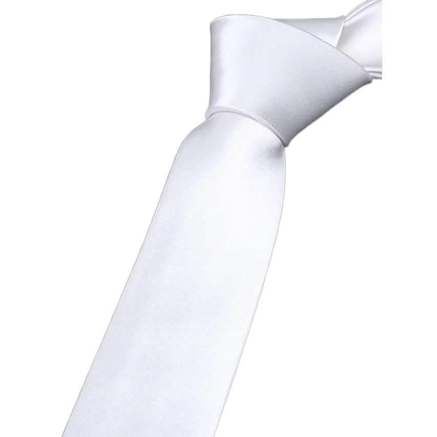 2-Pack: Solid Colored Pure Color Neck Ties DailySale