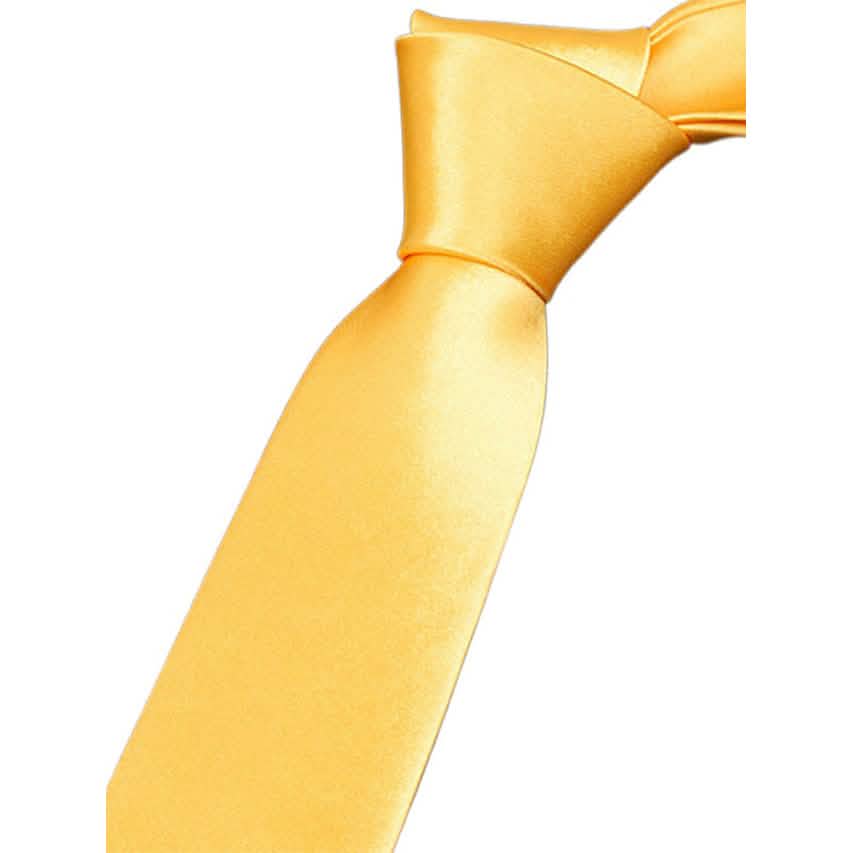 2-Pack: Solid Colored Pure Color Neck Ties DailySale