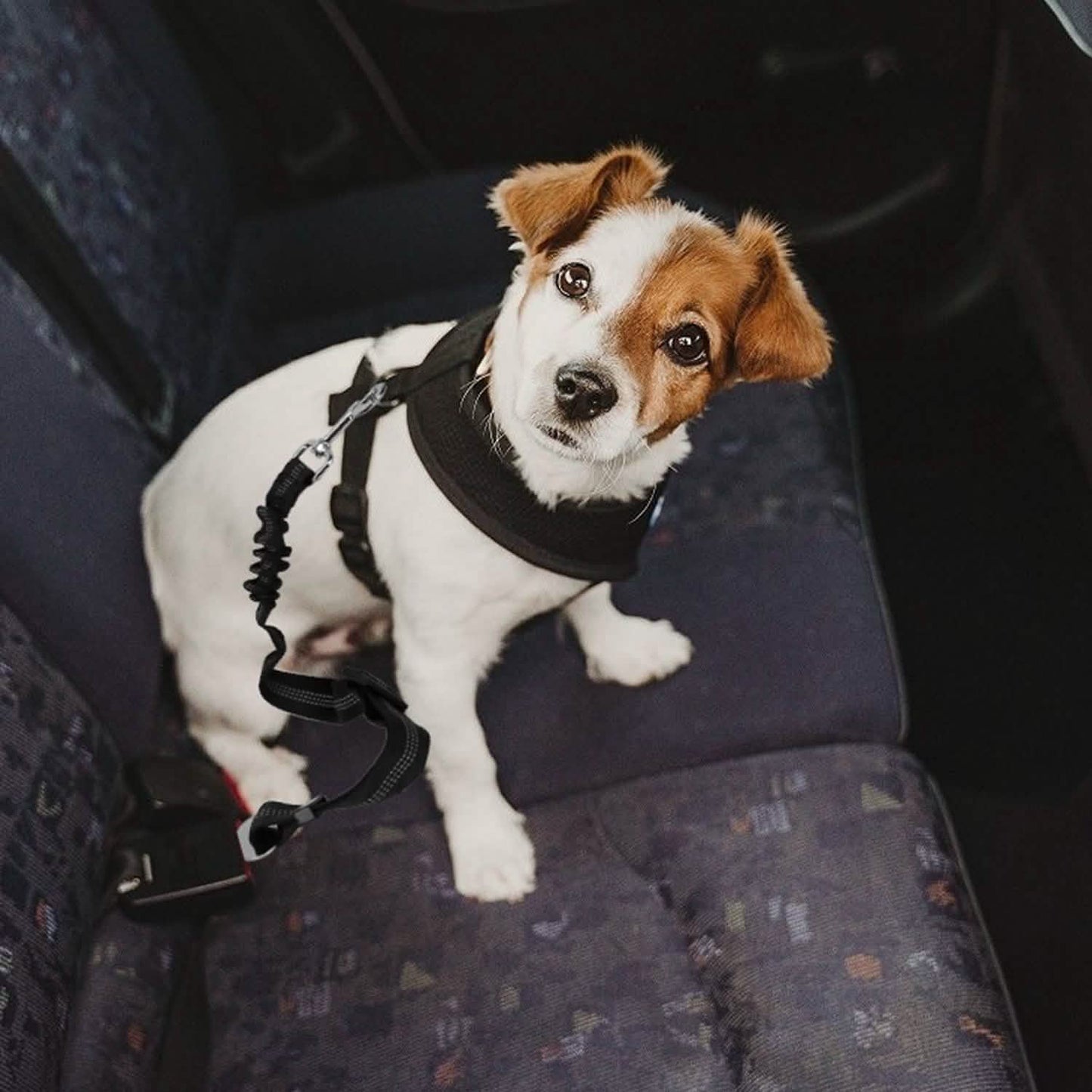 2-Piece: Pet Car Safety Seatbelt DailySale