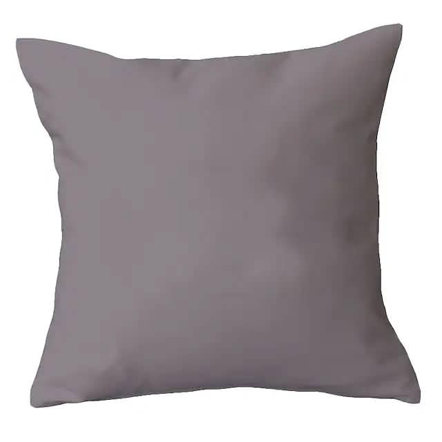 2-Piece: Solid Colored Simple Square Pillowcases DailySale