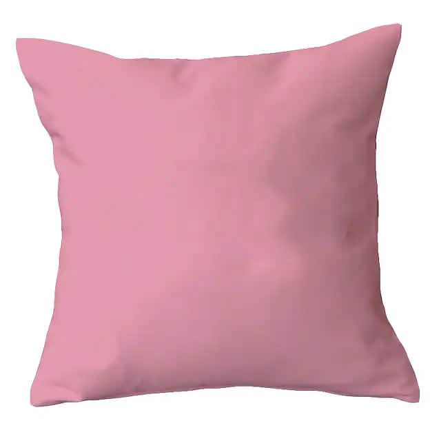 2-Piece: Solid Colored Simple Square Pillowcases DailySale