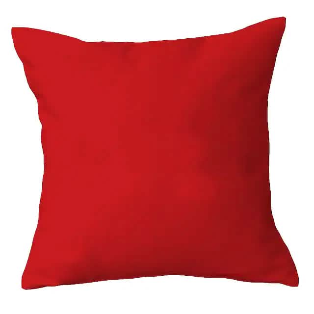 2-Piece: Solid Colored Simple Square Pillowcases DailySale