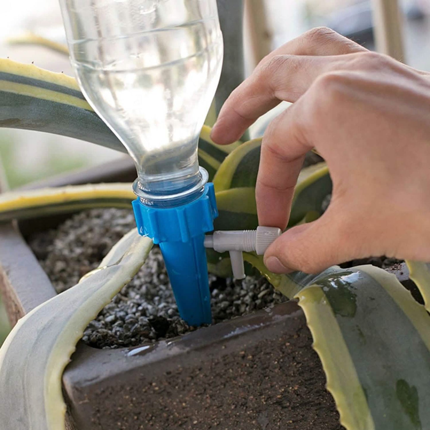 24-Piece: Plant Watering Spikes Self Watering Device DailySale