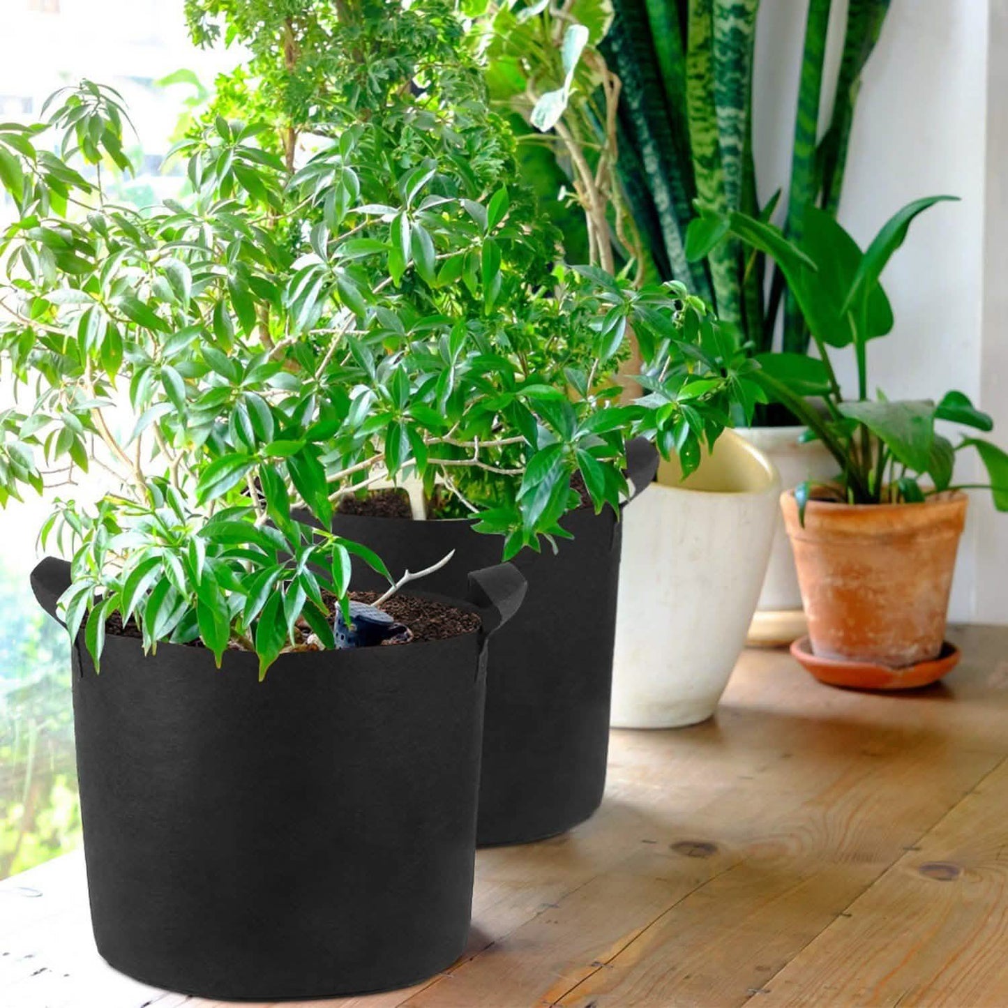 3-Pack: Planter Bags Breathable Planting Fabric Pots with Harvest Window DailySale