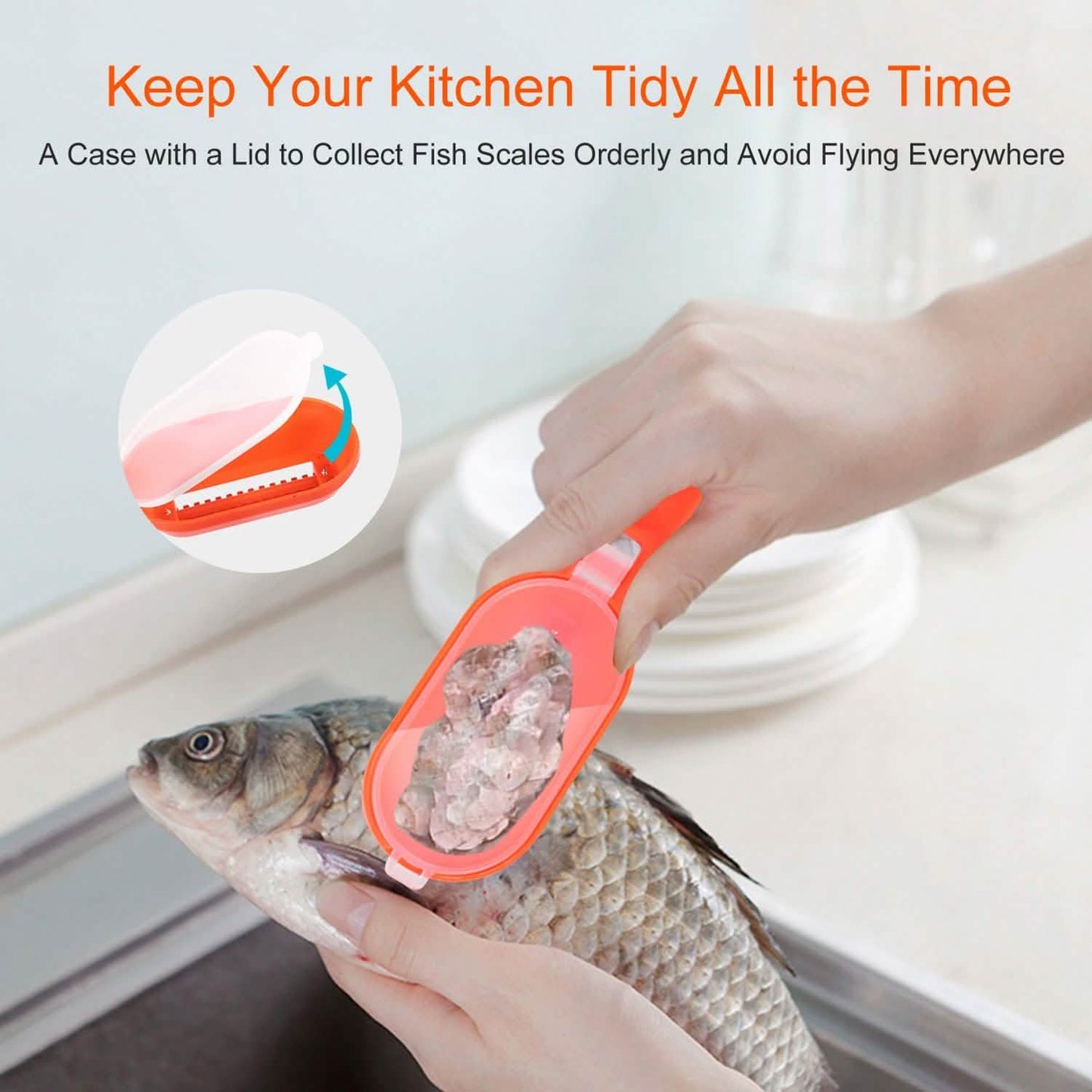 3-Piece: Fish Scale Remover DailySale