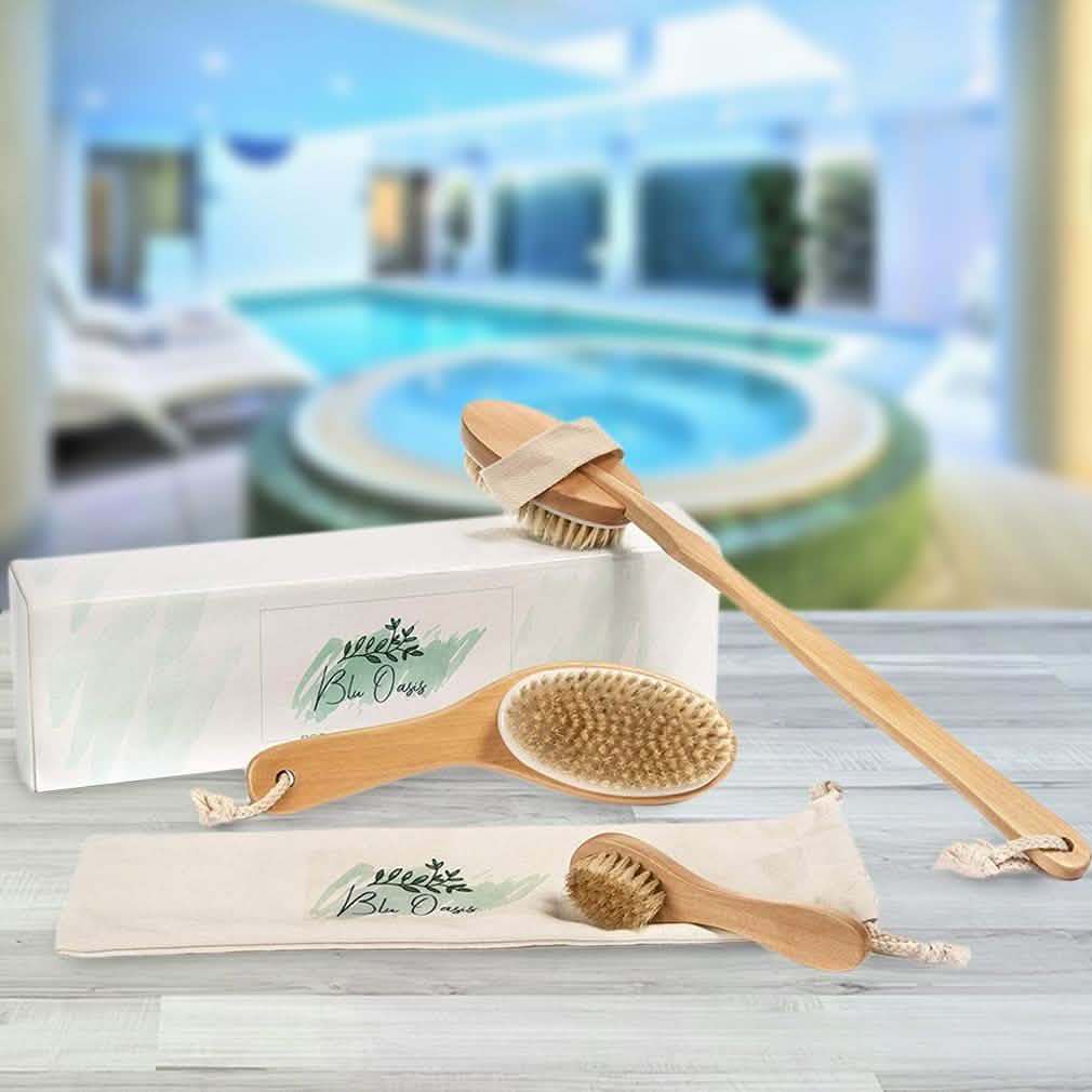 3-Piece Set: Blu Oasis Premium Dry Brushes with Travel Bag DailySale