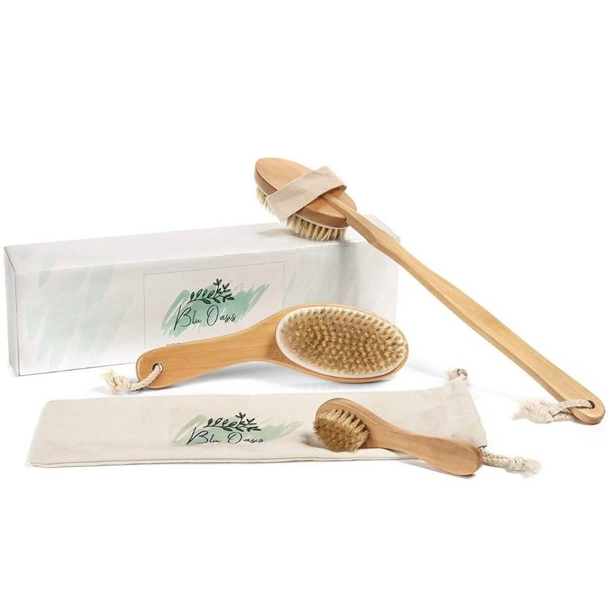 3-Piece Set: Blu Oasis Premium Dry Brushes with Travel Bag DailySale