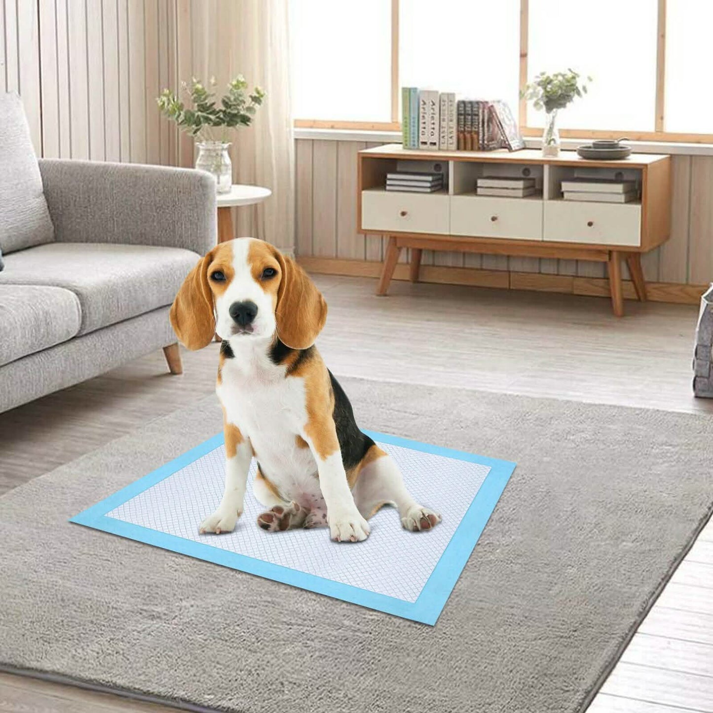 30-Piece: Ownpets Pet Dog Training Pads DailySale