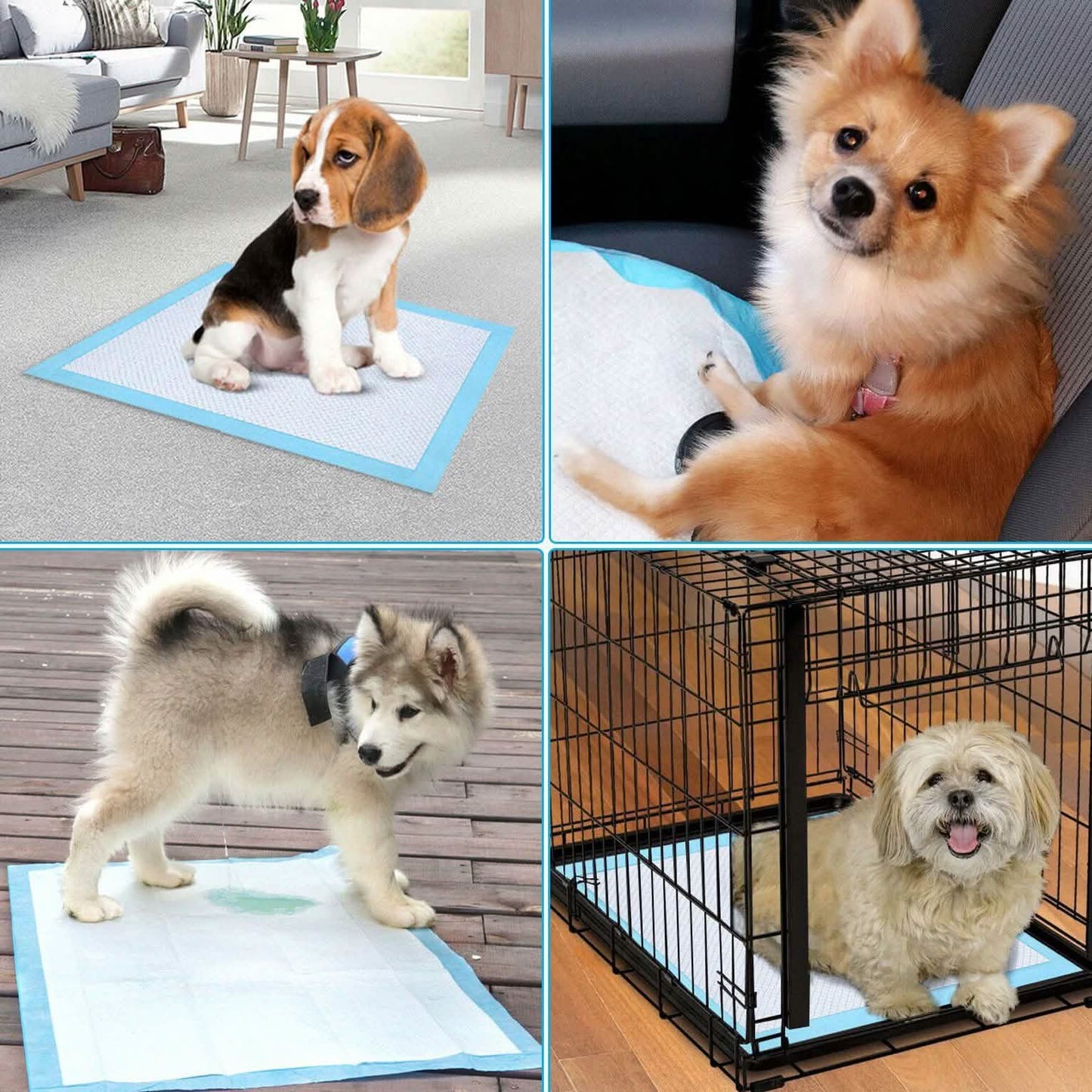 30-Piece: Ownpets Pet Dog Training Pads DailySale