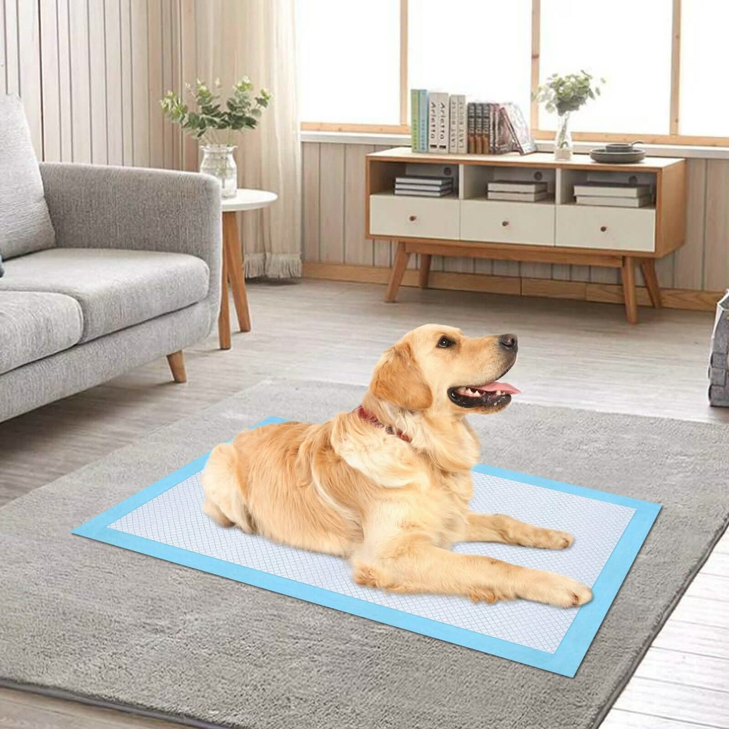 30-Piece: Ownpets Pet Dog Training Pads DailySale