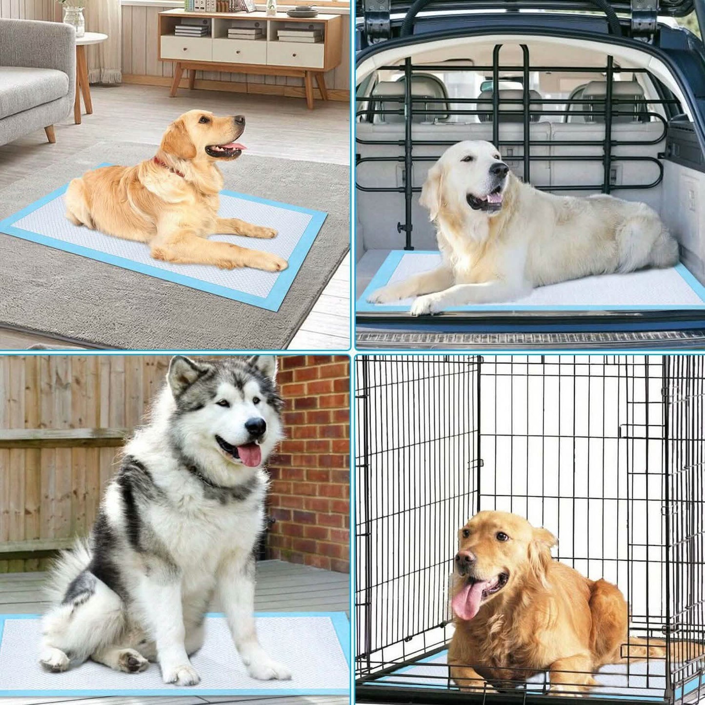 30-Piece: Ownpets Pet Dog Training Pads DailySale
