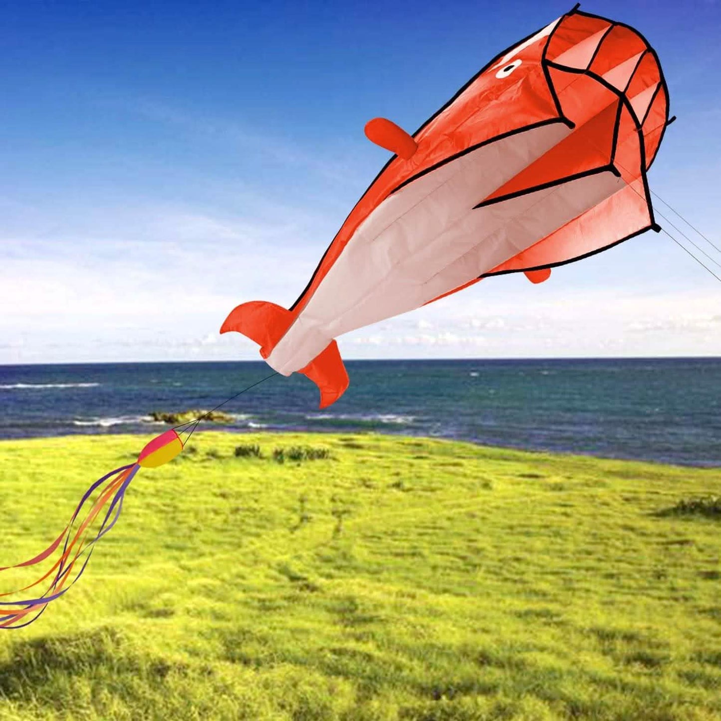 3D Kite Huge Frameless Soft Parafoil Giant Dolphin DailySale