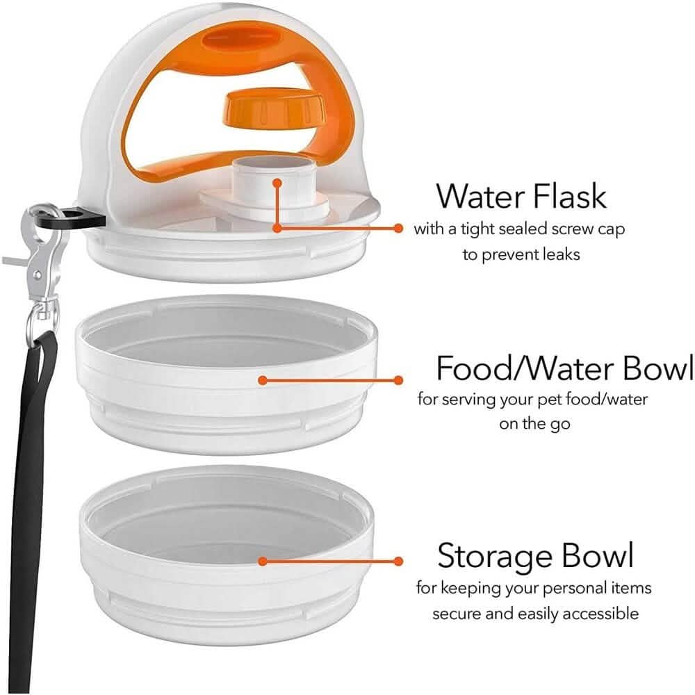 4-in-1 SitStayGo Grab n' Go Pet Dinette and Leash DailySale