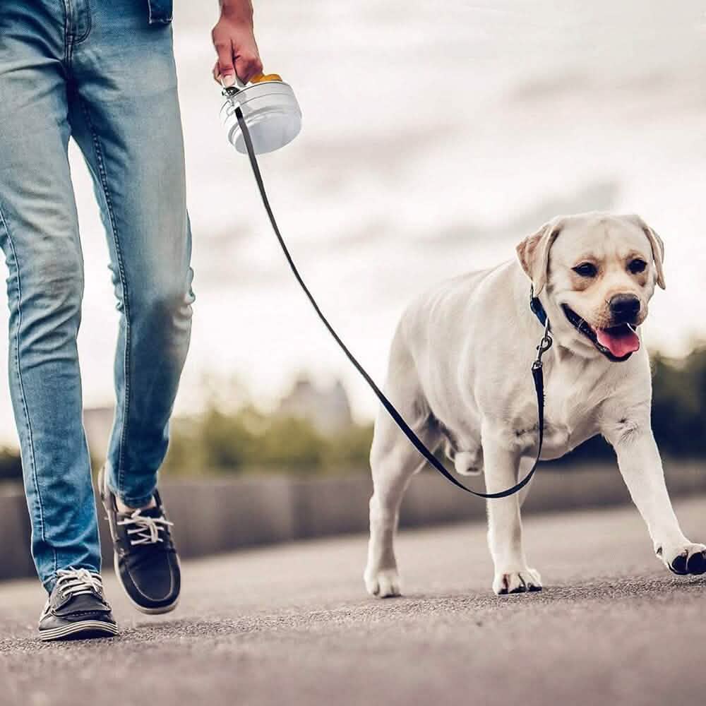 4-in-1 SitStayGo Grab n' Go Pet Dinette and Leash DailySale