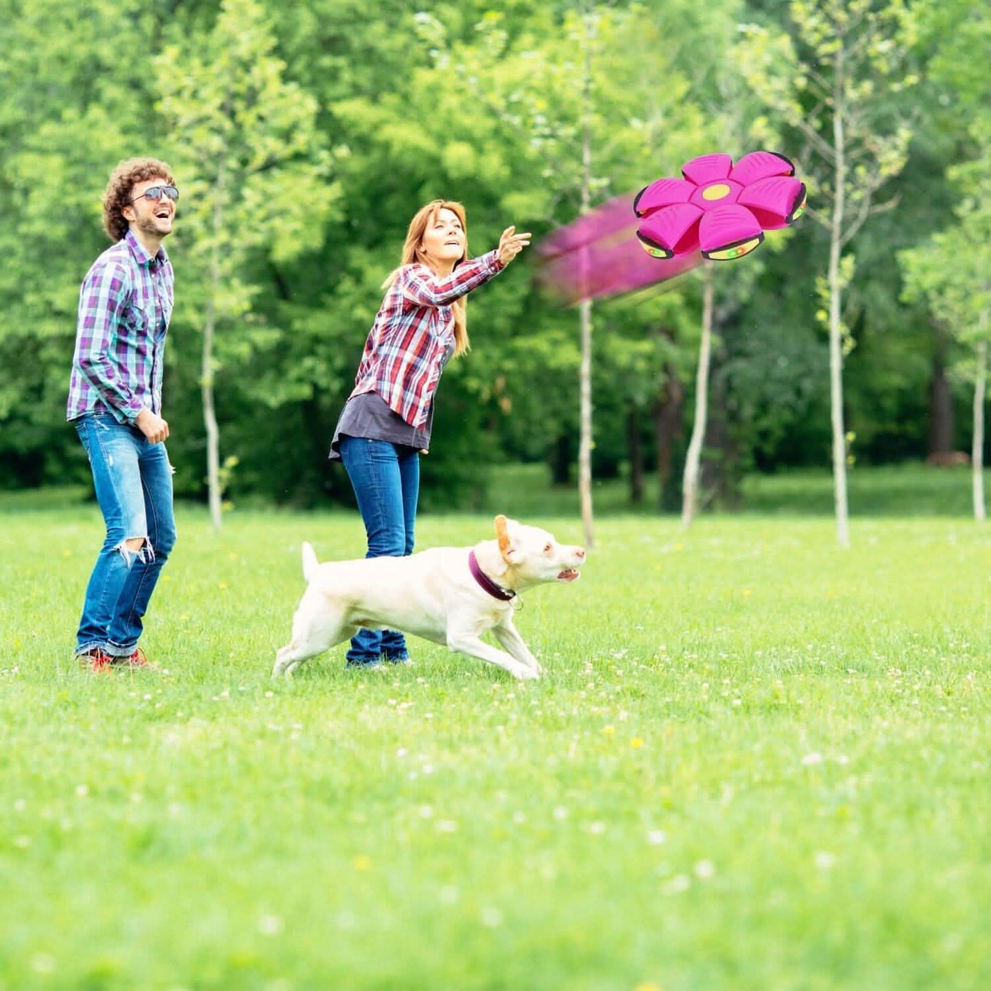 4-Pack: Flying Saucer Ball with LED Lights DailySale
