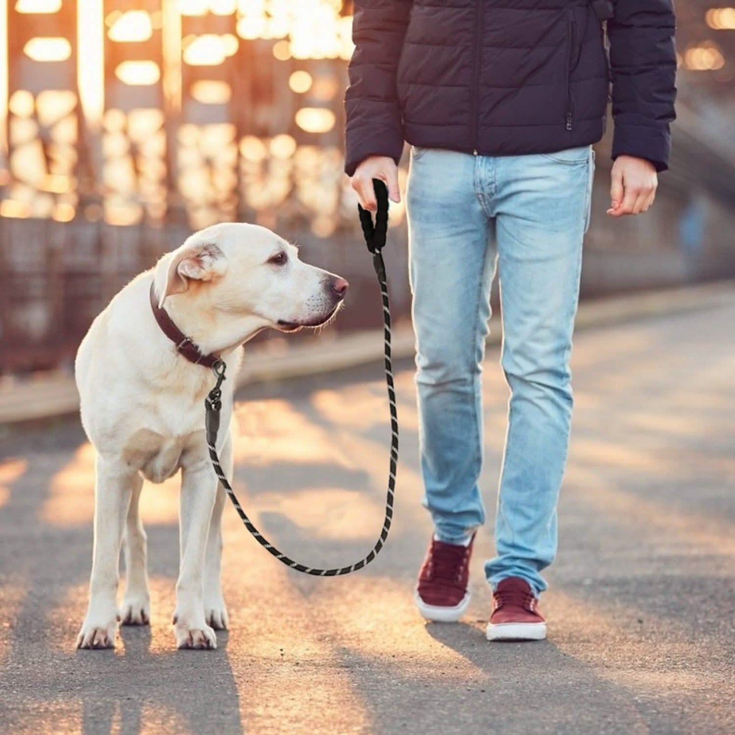 5 Ft. Dog Leash with Foam Handle DailySale