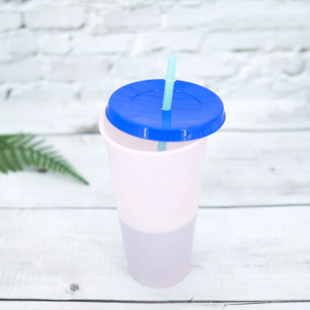 5-Pack: Colorful Drinking Cup with Lid and Straw DailySale