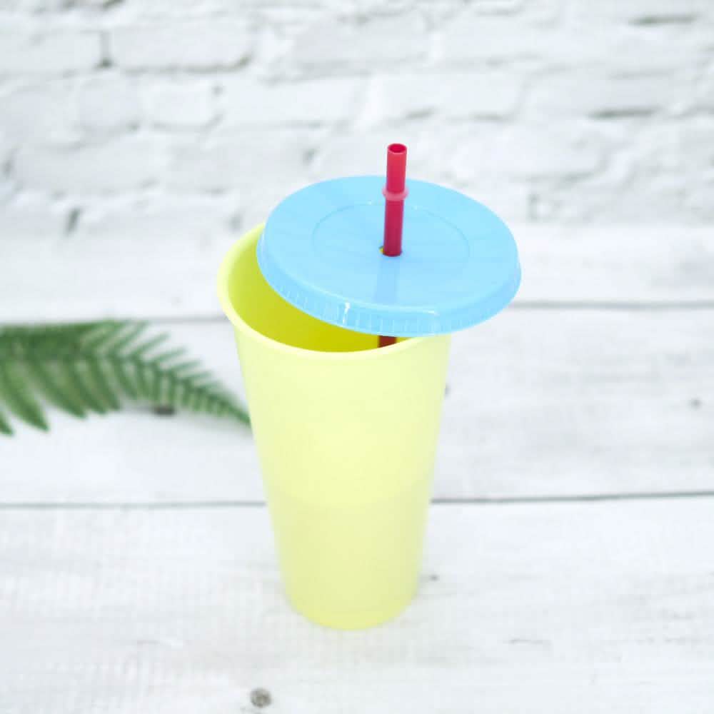 5-Pack: Colorful Drinking Cup with Lid and Straw DailySale