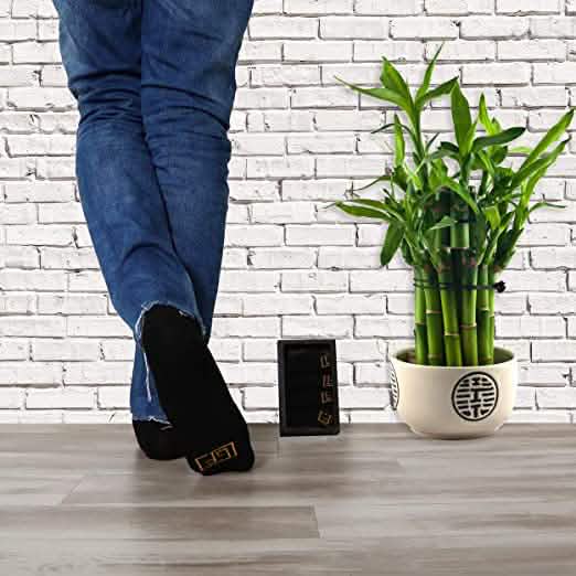 5-Pairs: No Show Bamboo Socks for Men DailySale