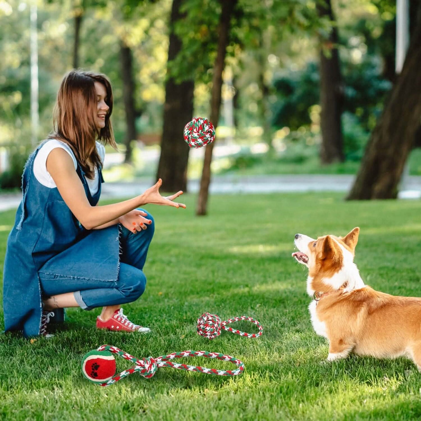 5-Pieces: Christmas Dog Rope Chew Toys DailySale