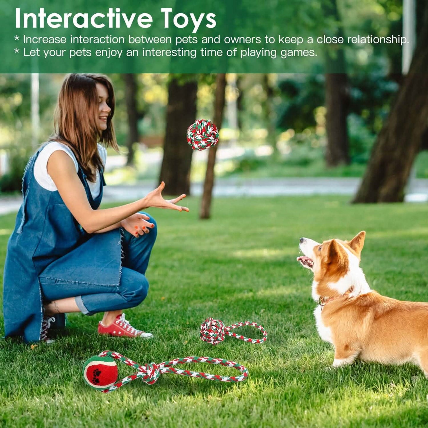 5-Pieces: Christmas Dog Rope Chew Toys DailySale