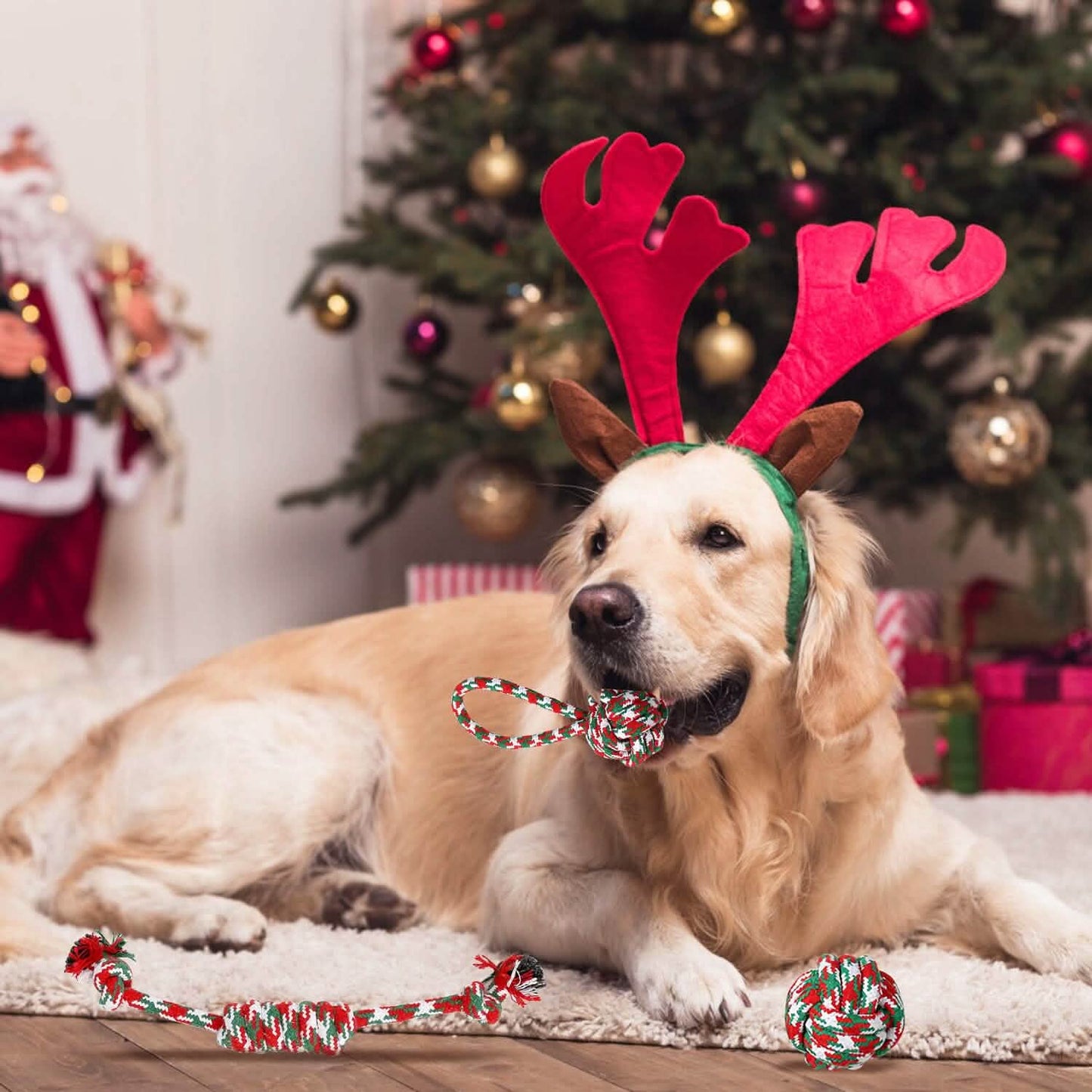 5-Pieces: Christmas Dog Rope Chew Toys DailySale