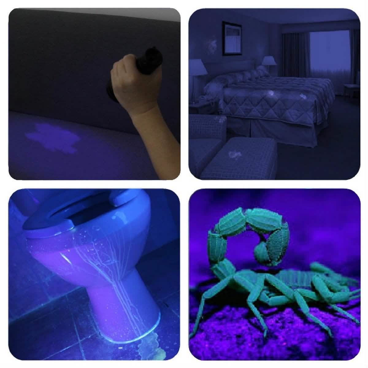 51 LED Ultraviolet Blacklight DailySale