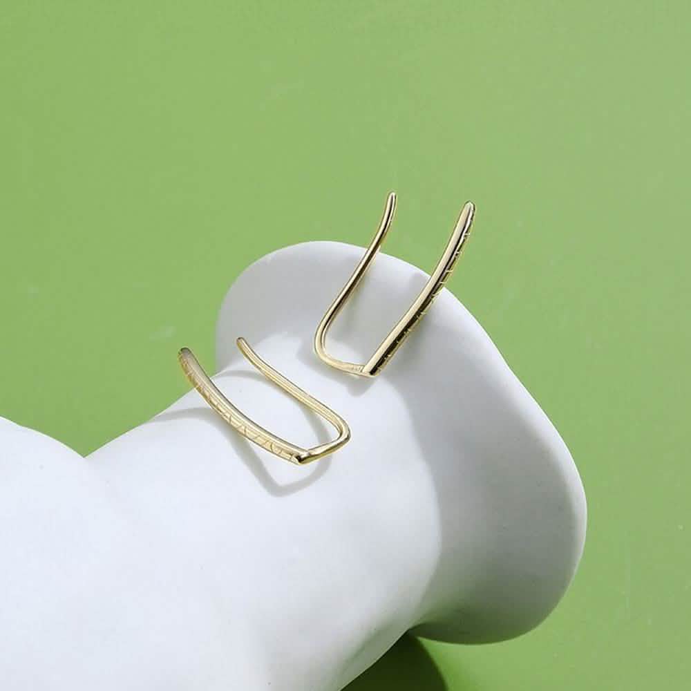 925 Sterling Silver Clip Earrings DailySale