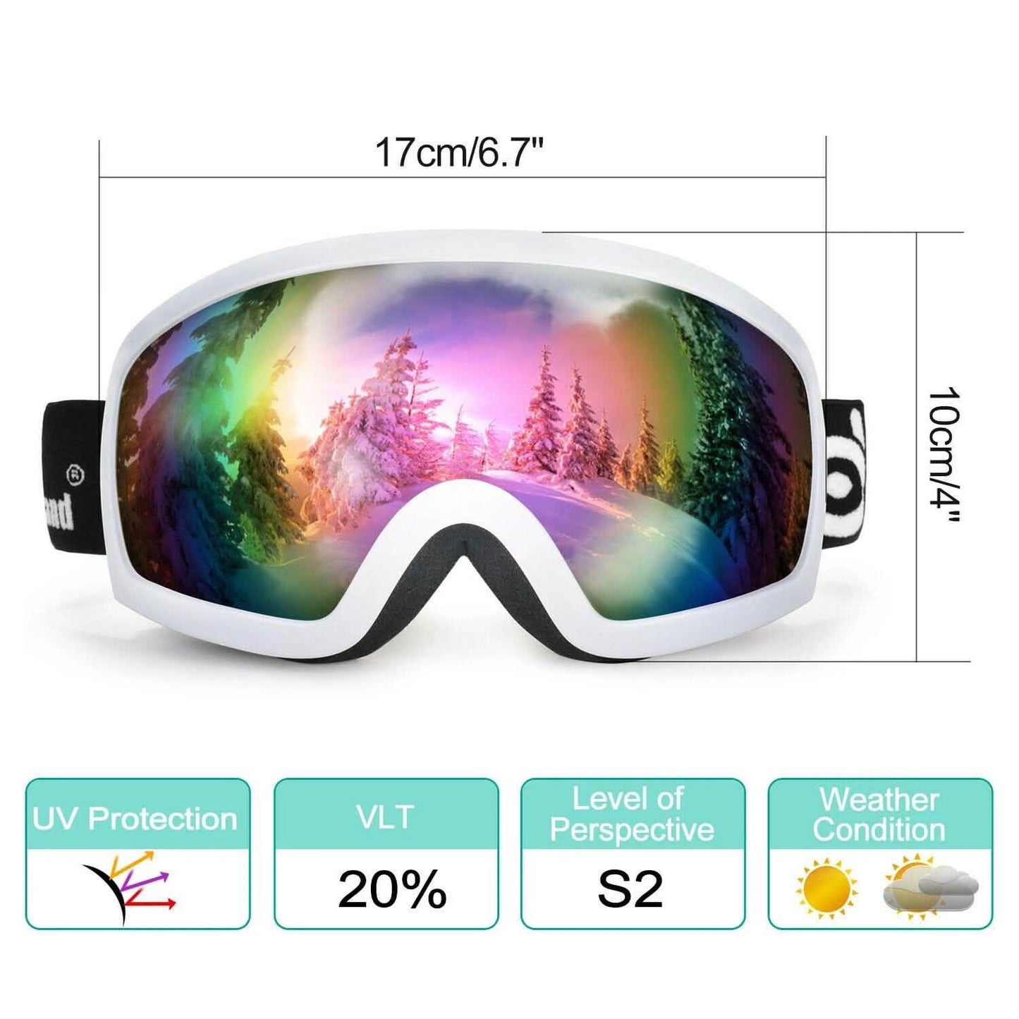 Adult Winter Ski Goggles Double Lens Eyewear Sunglasses DailySale