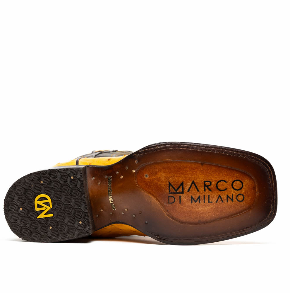 Alabama Buttercup Marco Di Milano