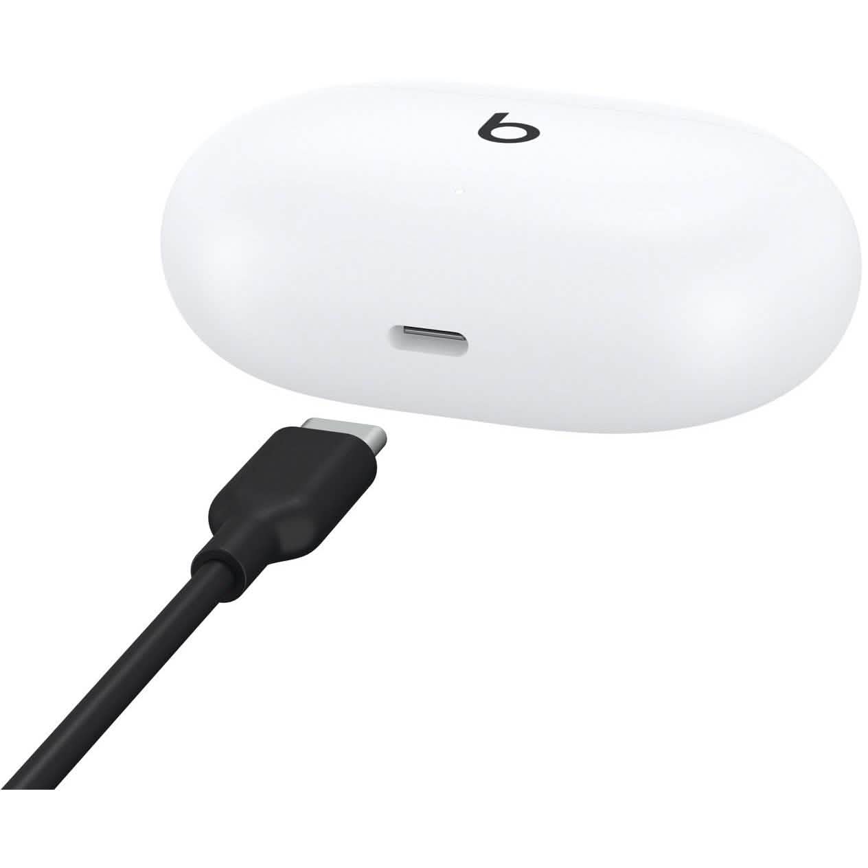 Beats by Dr. Dre - Beats Studio Buds Totally Wireless Noise Cancelling Earbuds DailySale