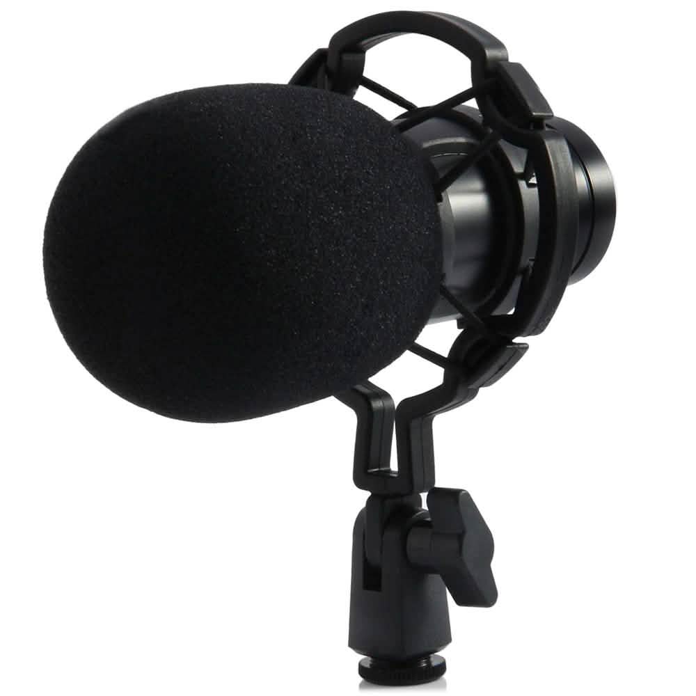 BM-800 Condenser Sound Recording Microphone with Shock Mount for Radio Braodcasting DailySale