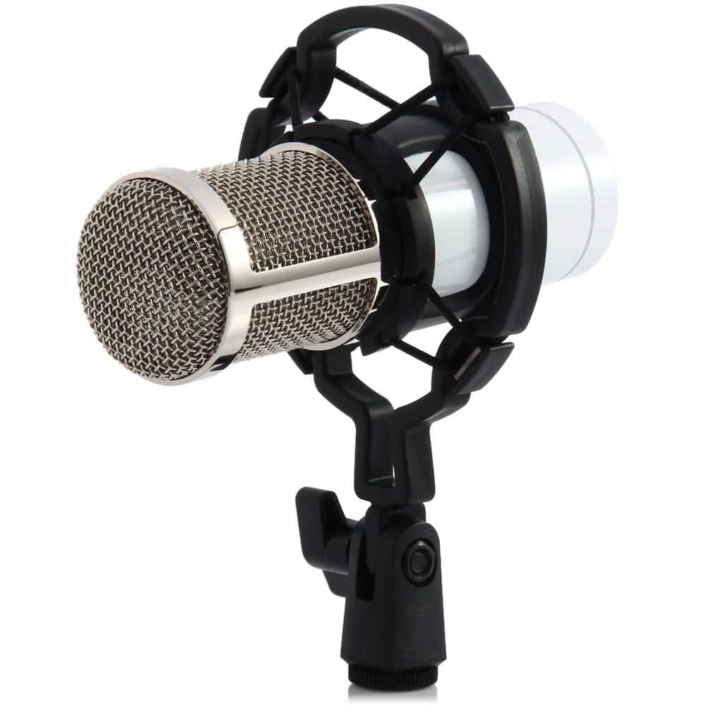 BM-800 Condenser Sound Recording Microphone with Shock Mount for Radio Braodcasting DailySale