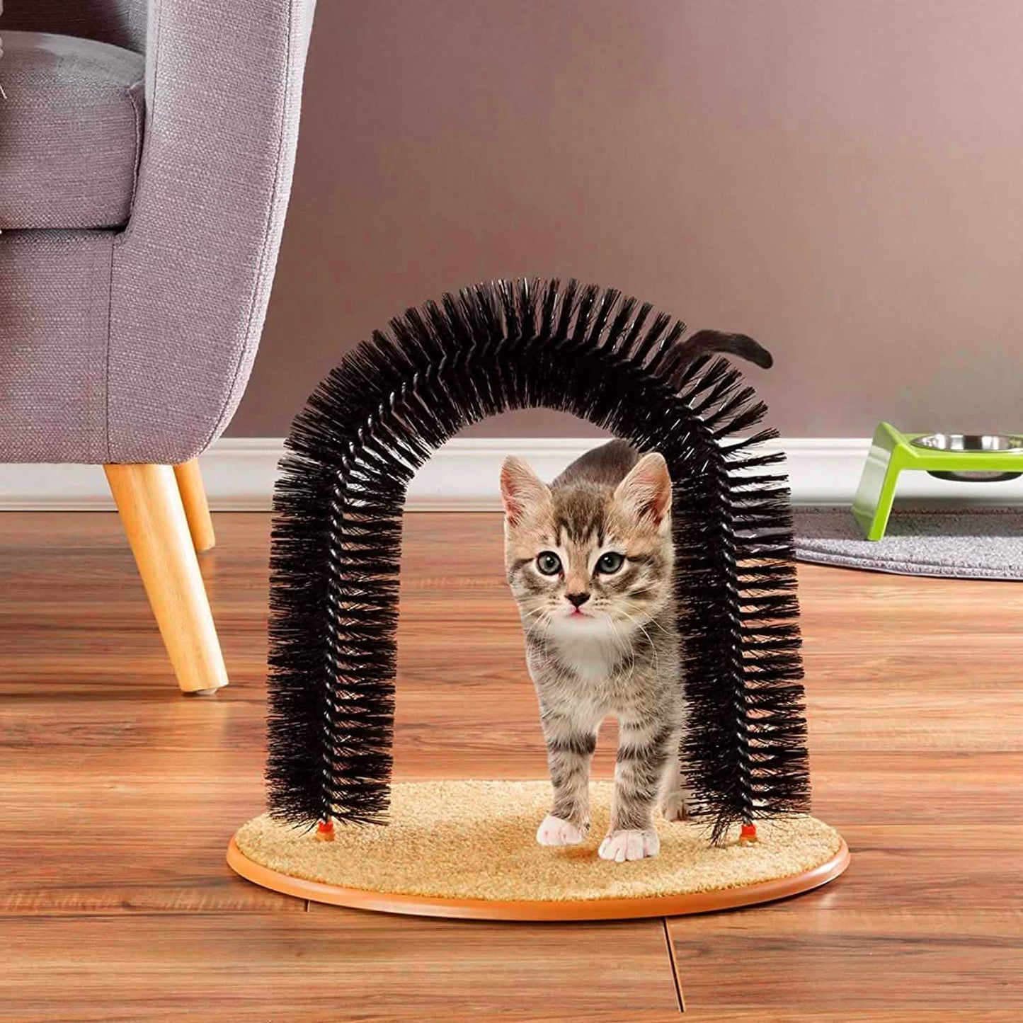 Cat Arch Self Groomer DailySale