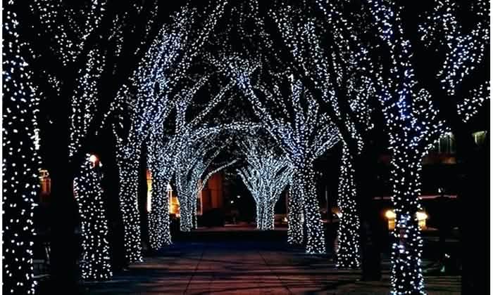 Solar-Powered 100 LED Fairy Light String - Assorted Colors DailySale