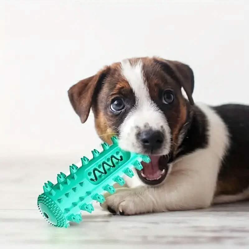 Dog Chew Toys Dog Toothbrush Stick DailySale